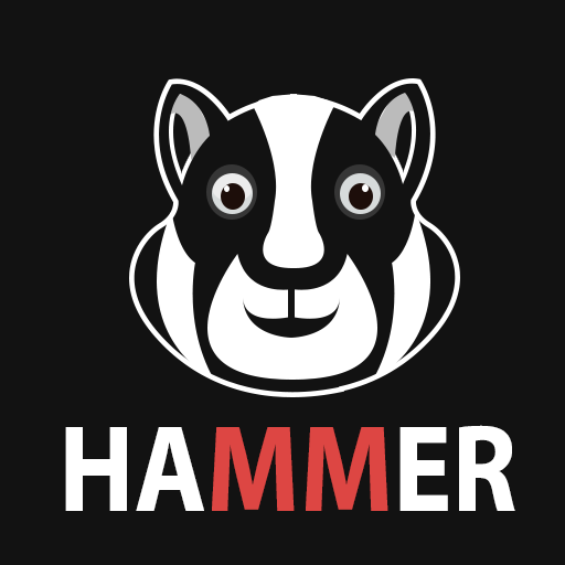 Hamer Hamster Secure VPN proxy icon for Windows 10 Hamer Hamster Secure VPN proxy icon for Windows 10