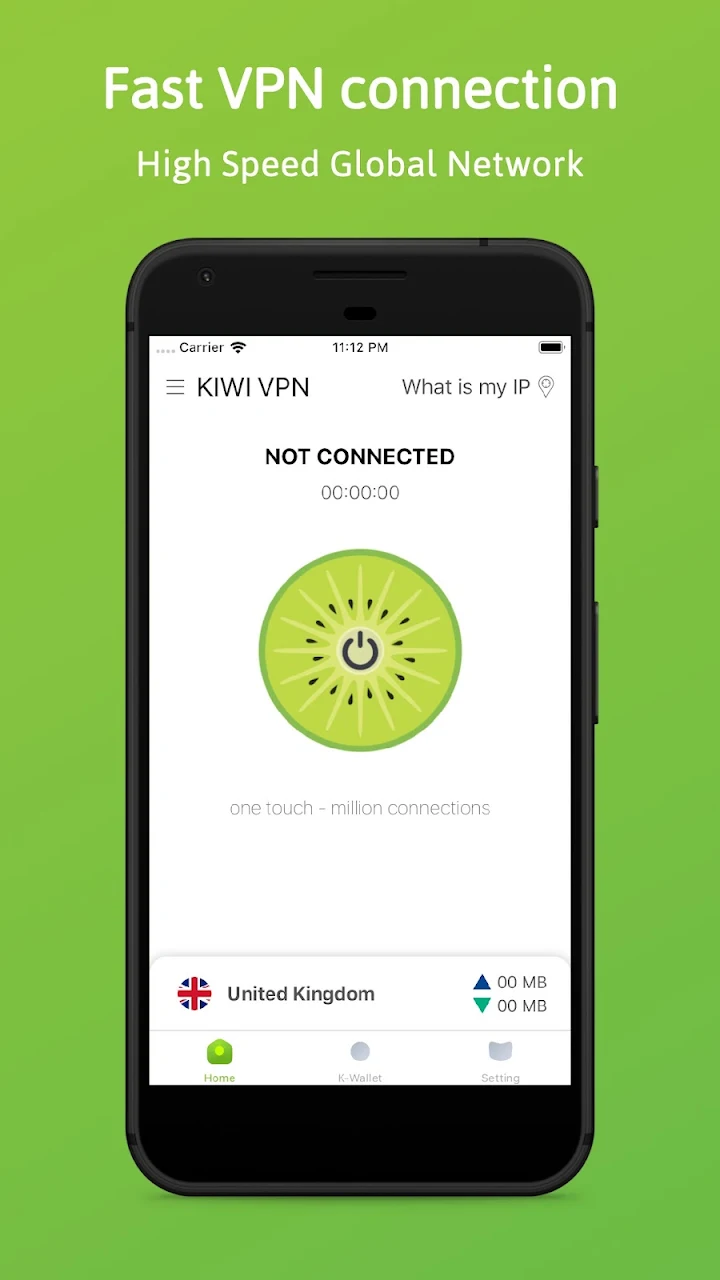 Kiwi VPN Connection IP Changer screenshot 1 on Windows 10