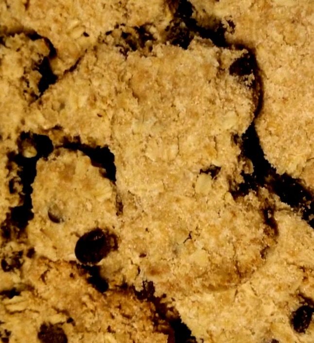 Vegan Davy Crockett Bars