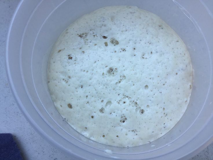 No commercial yeast starter - a bubbling mixture celebrating natural fermentation