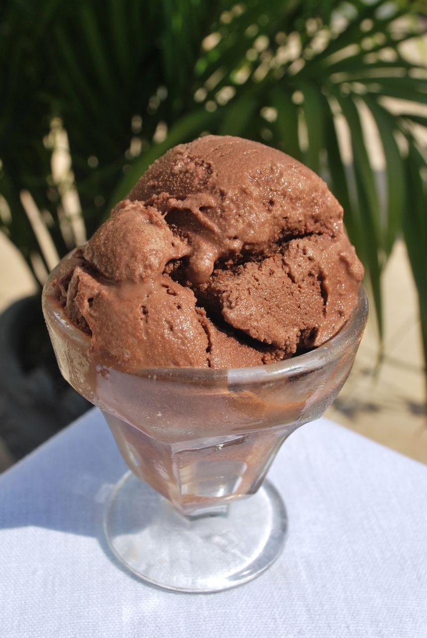 Delicious chocolate gelato