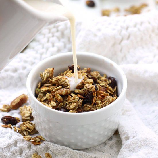 Stove Top Apple Cinnamon Granola
