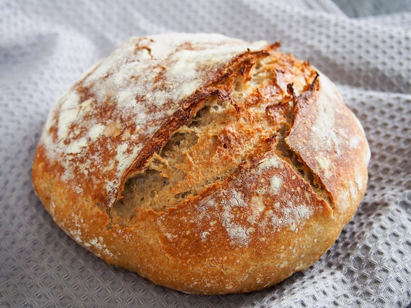 Pain de campagne - French country bread