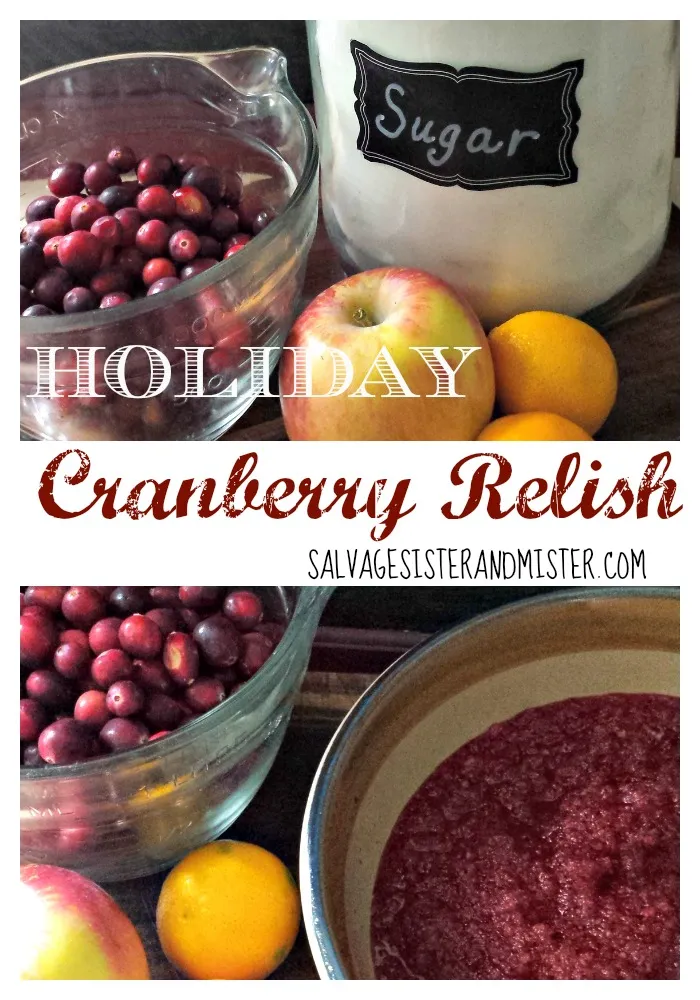 Holiday Cranberry Relish - A Festive Delight