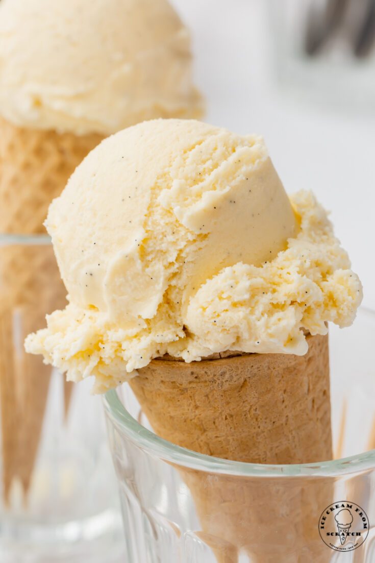Vanilla Bean Ice Cream