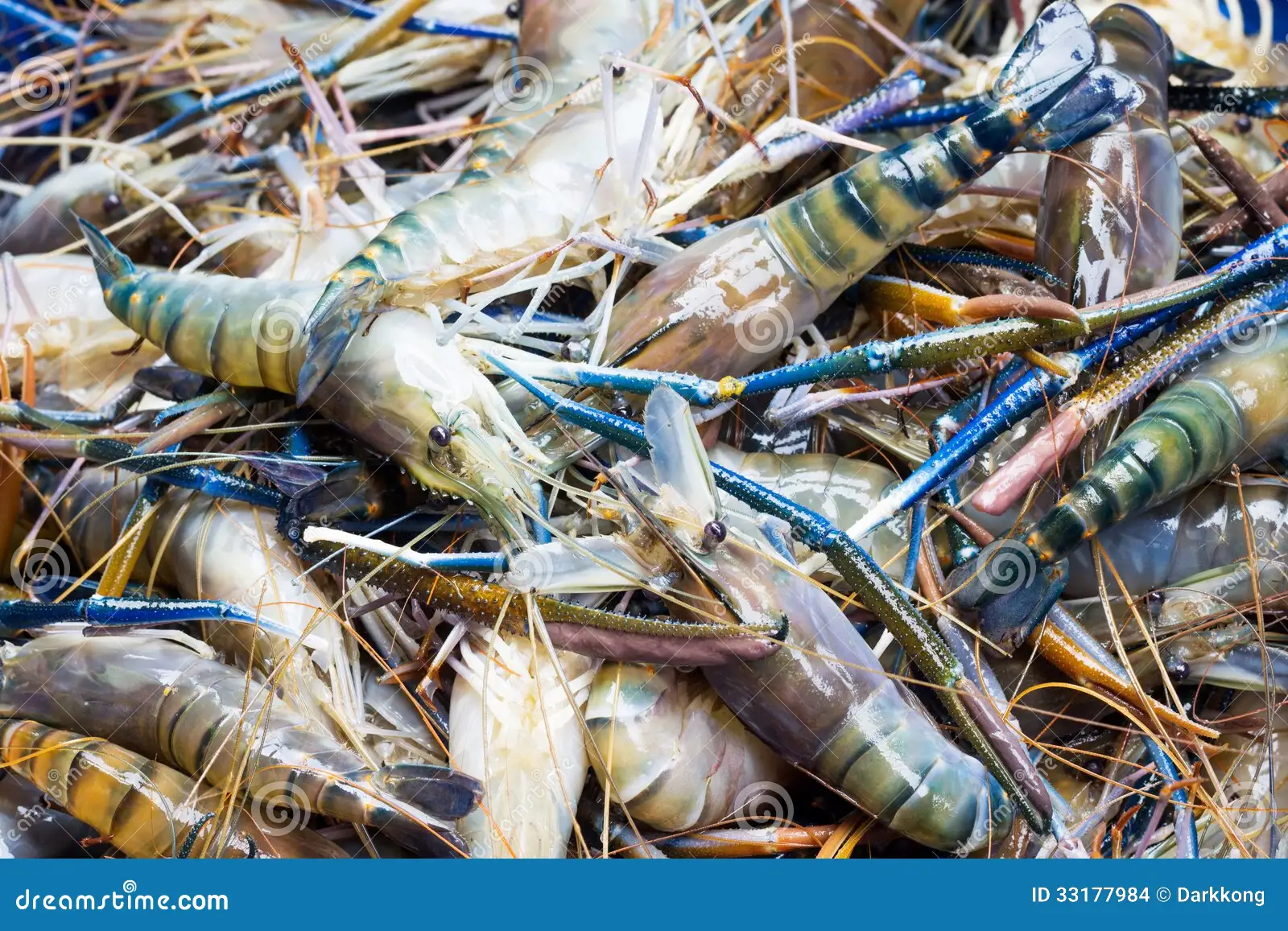 Pile of fresh prawns