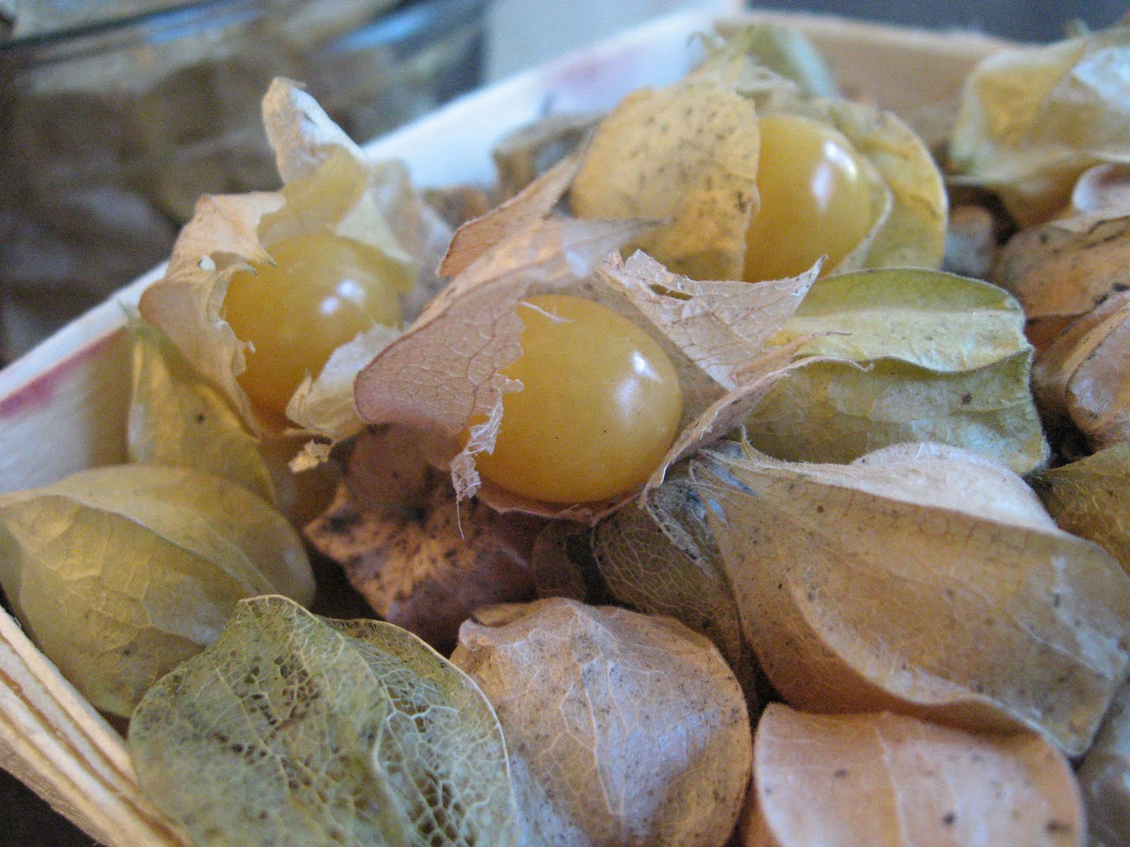 Ground Cherry Hot Sauce