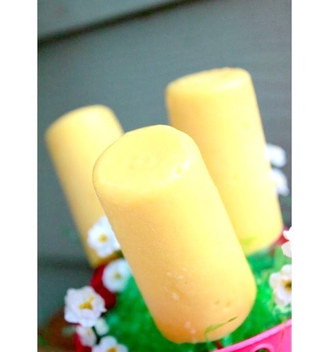 King Of Rock's Frozen Pudding Pops