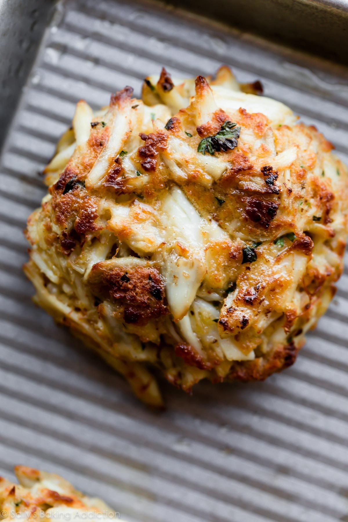 Maryland lump crab cake