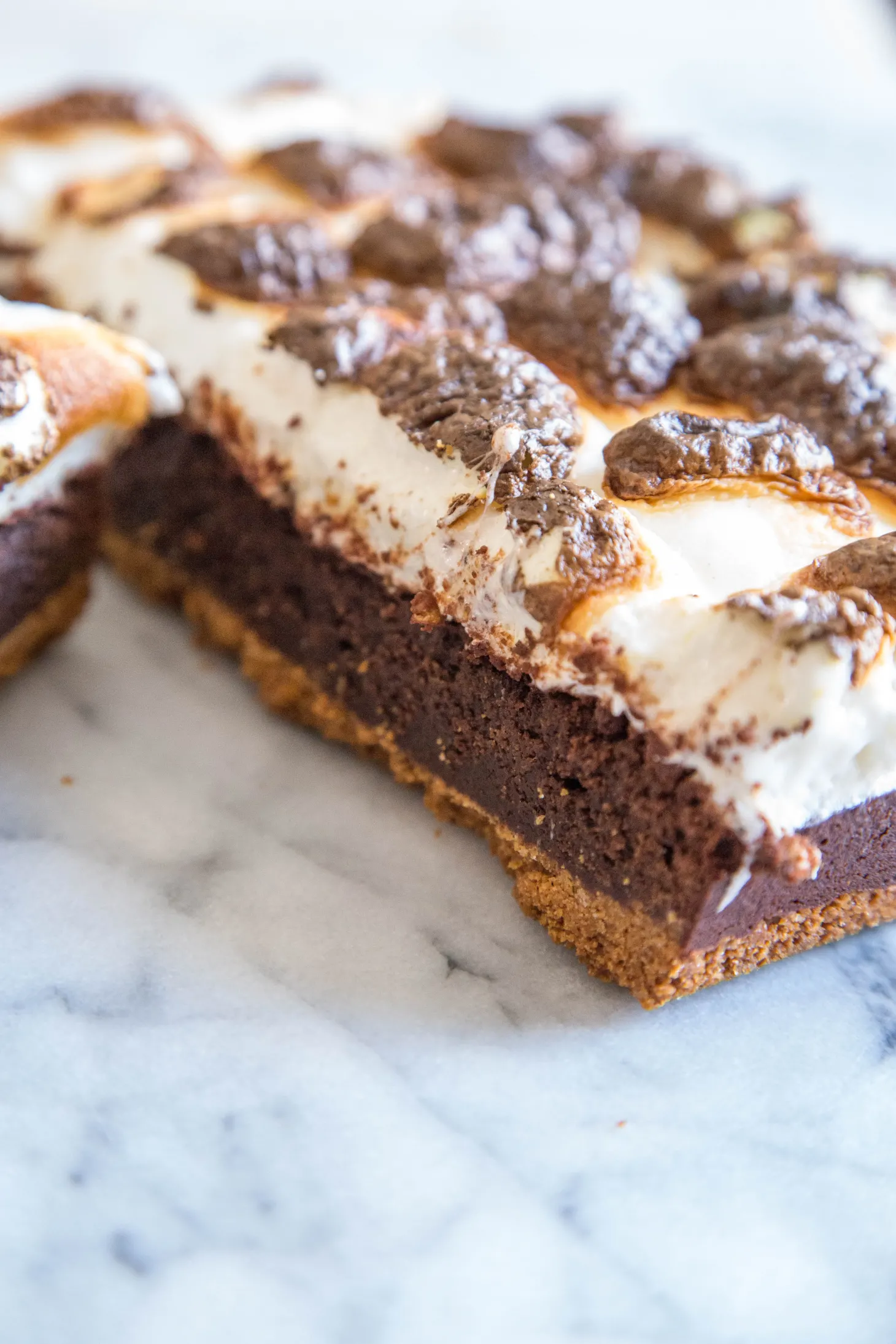 Delicious S'mores Brownies