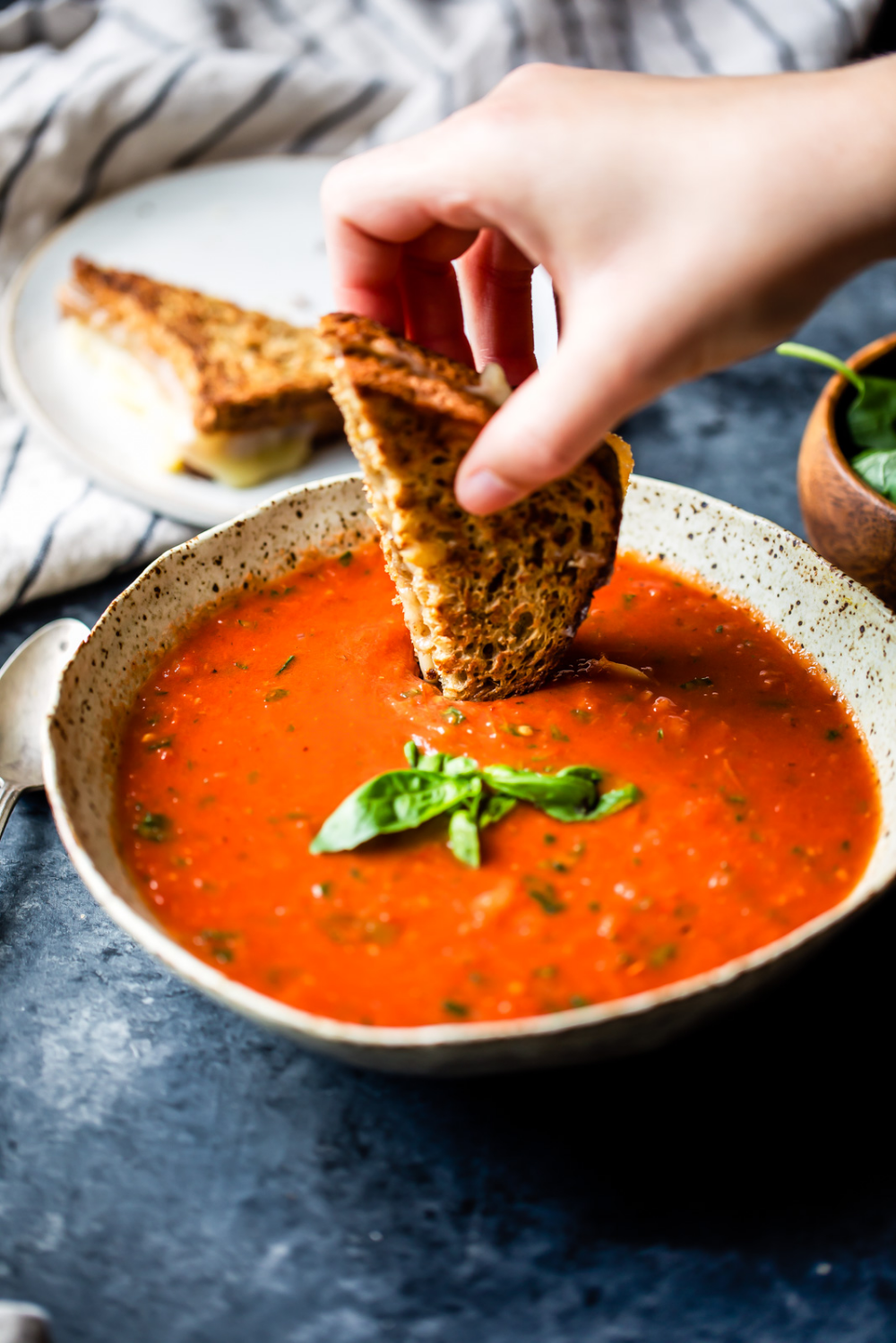 Homemade Roasted Tomato Basil Soup
