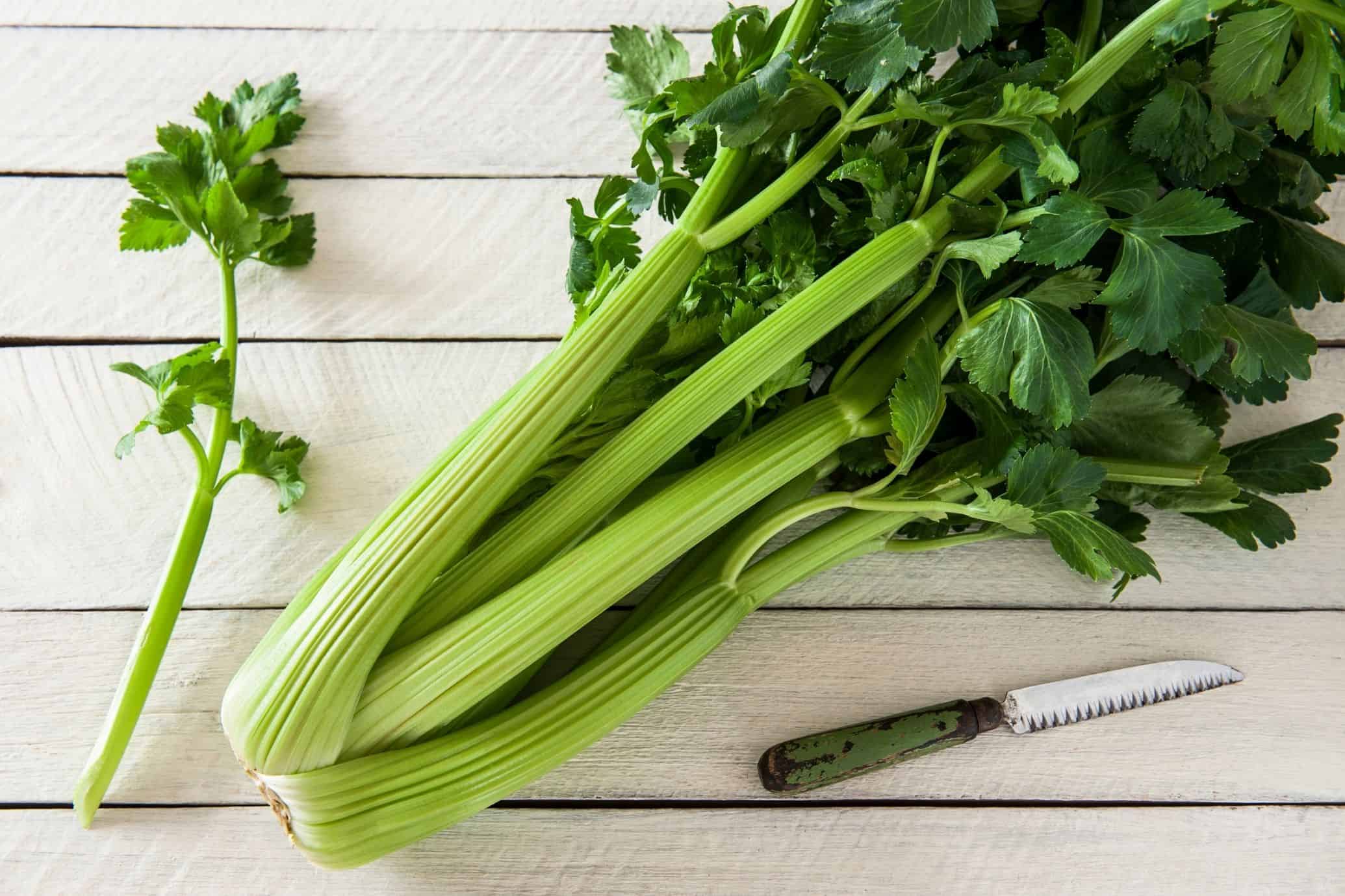 Chopped Celery Stalk