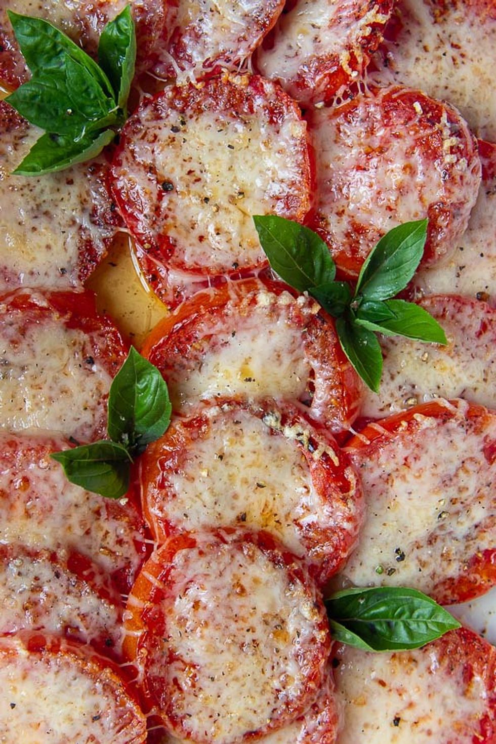 Baked Tomatoes with Cheese