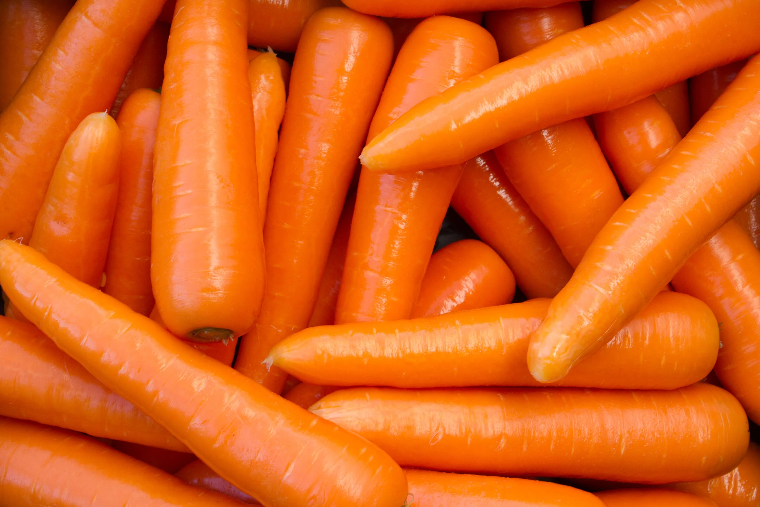 Fresh Orange Carrots