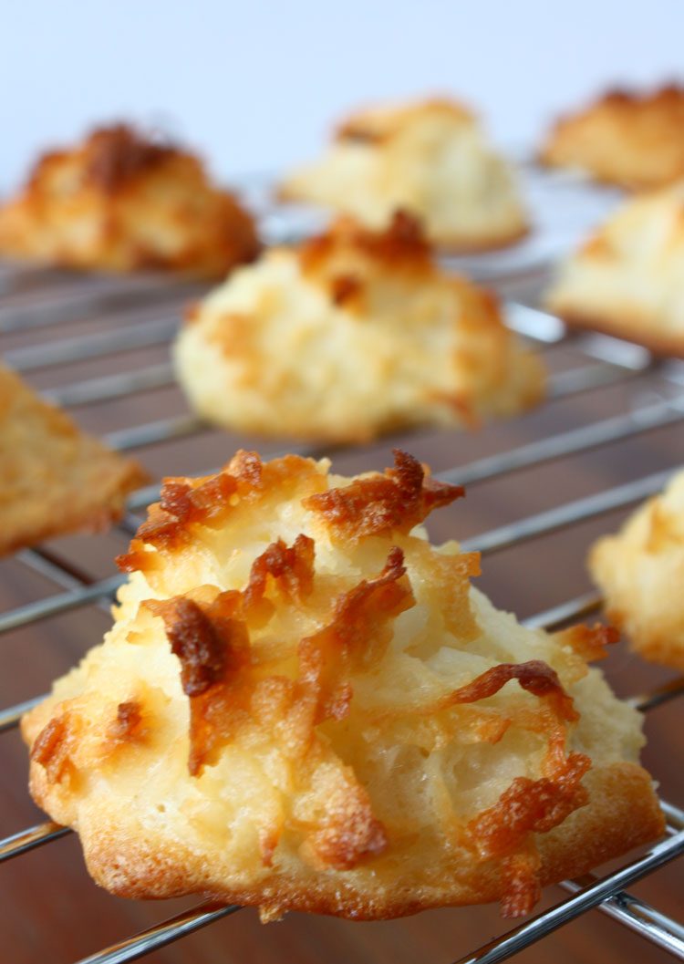 Perfect Coconut Macaroons