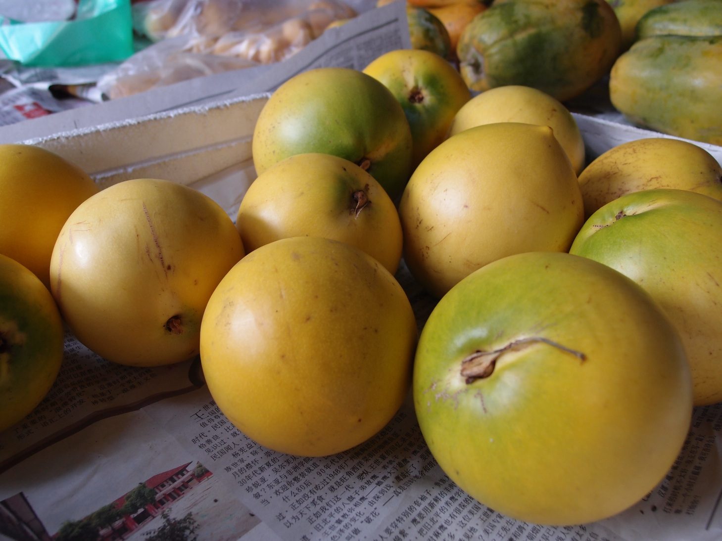 Xing Fu: Wong Kum Kor (Golden Fruit)