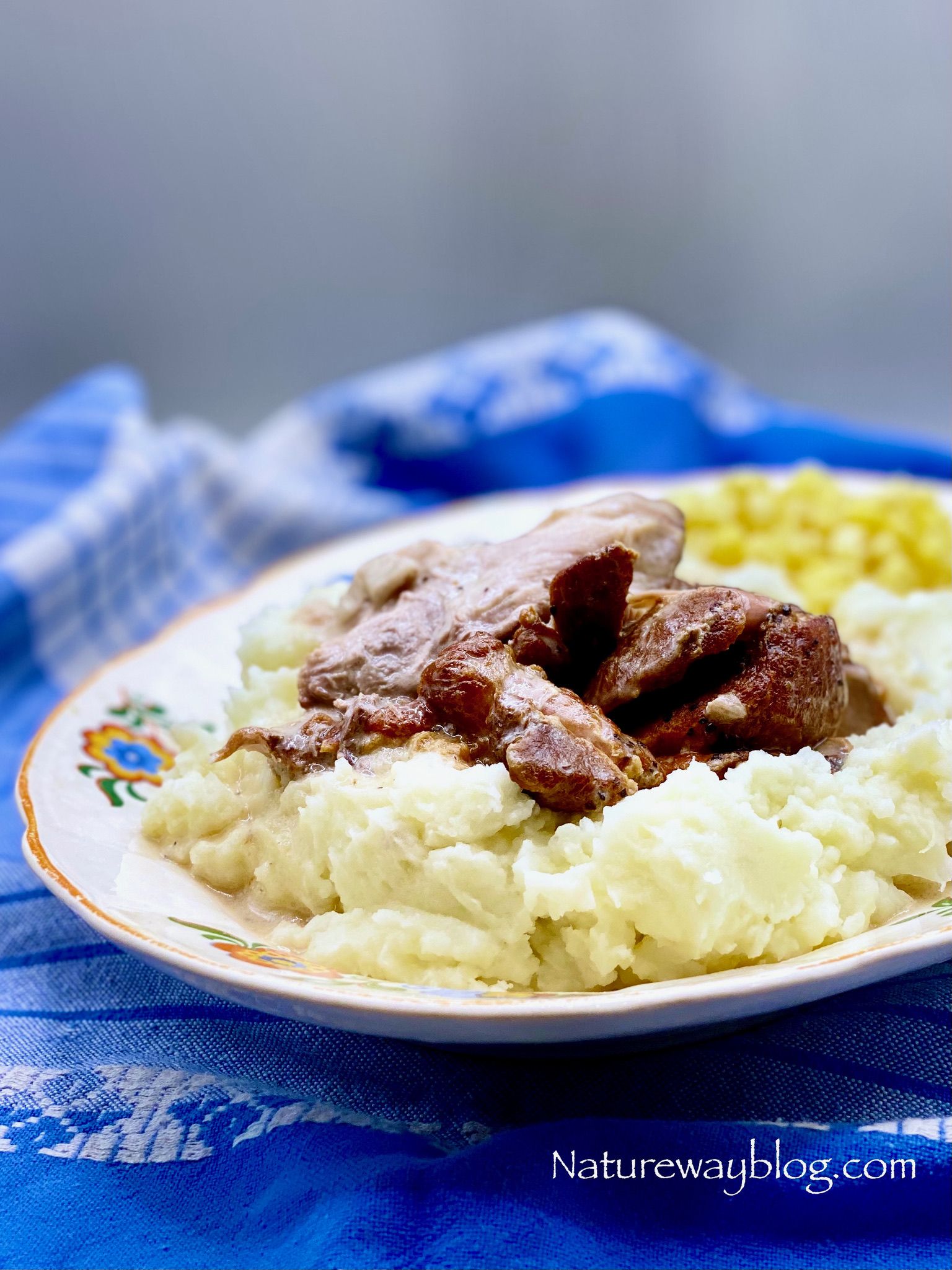 Slow Cooker Bavarian Pork Roast