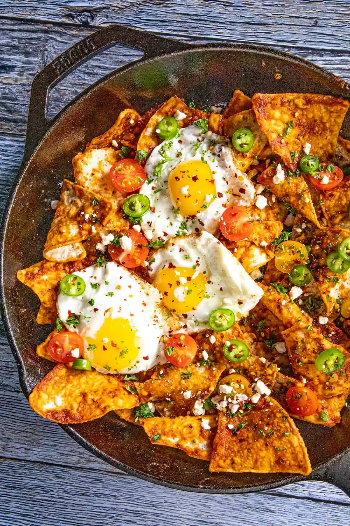 Chilaquiles Rojos with Ancho Chili Sauce