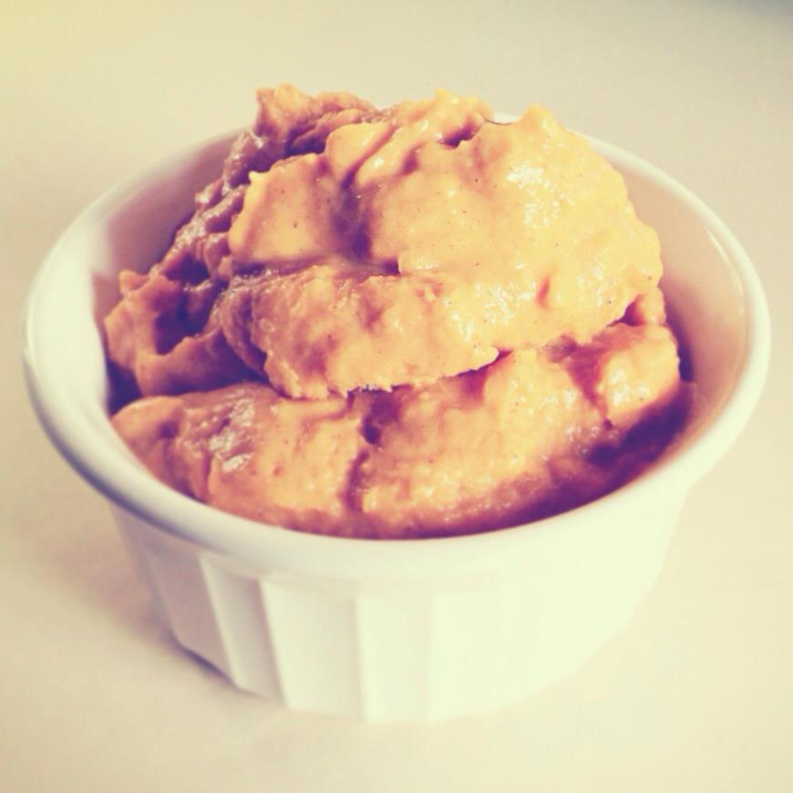 Homemade Pumpkin Frozen Yogurt