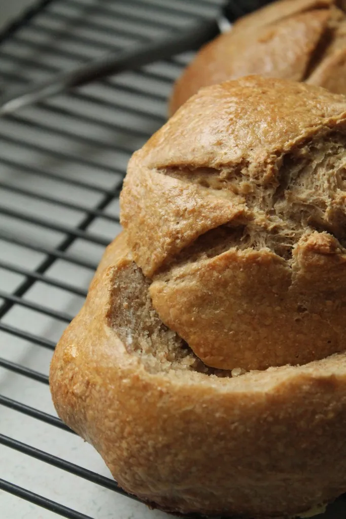 Sweet Wheat Bread Bowls