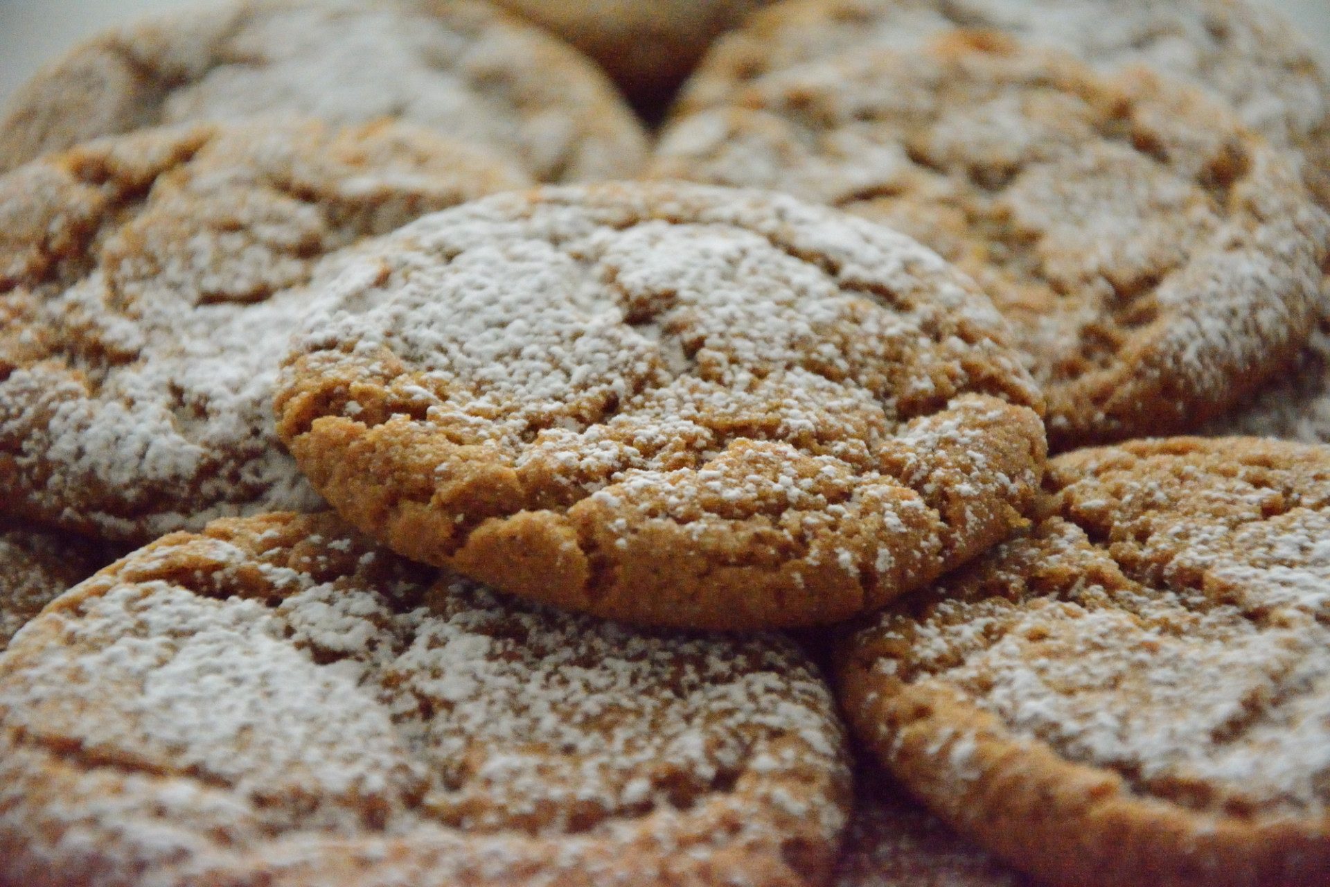 Close-up of finished Sugar and Spice Cookies