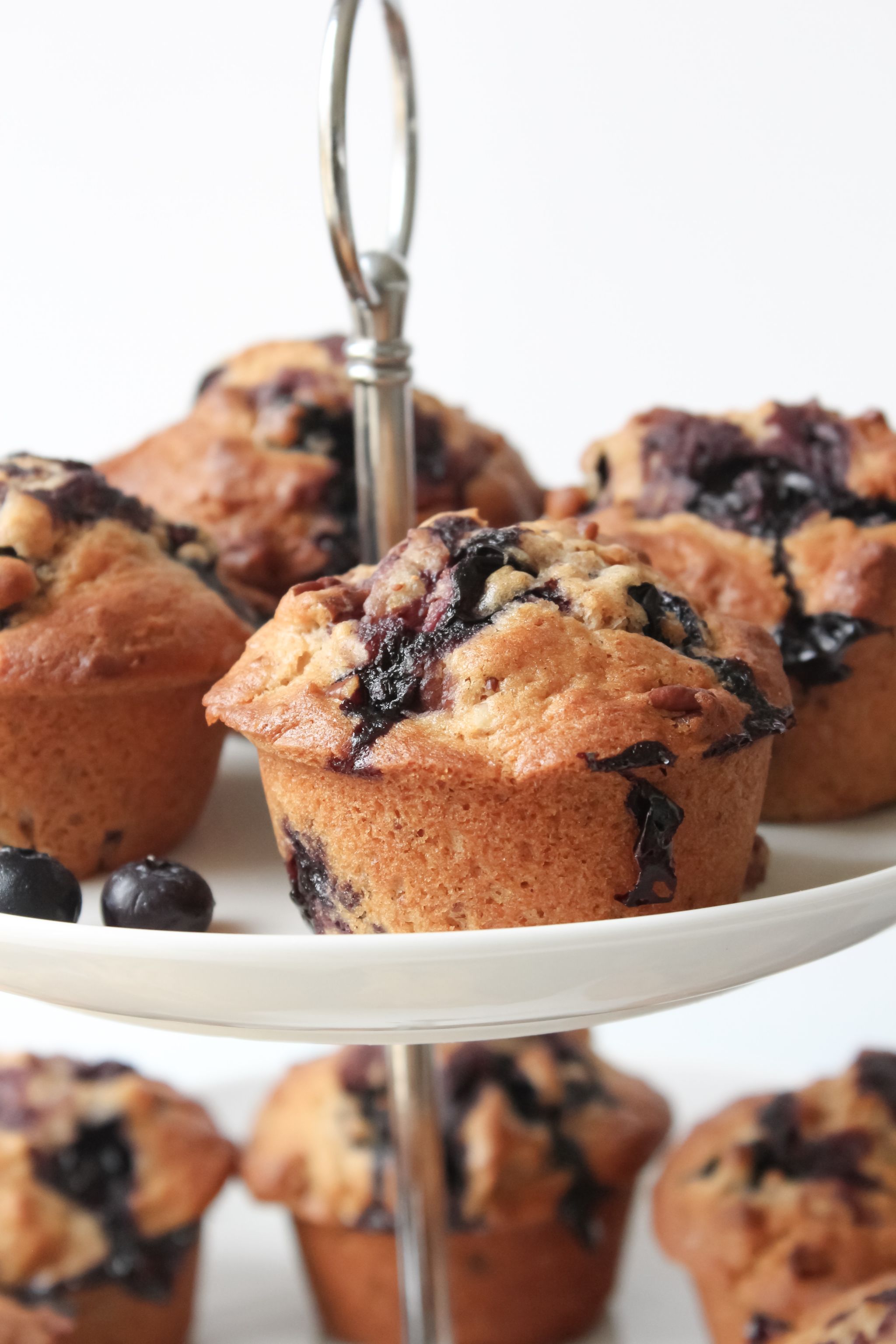 Blueberry Nut Muffins
