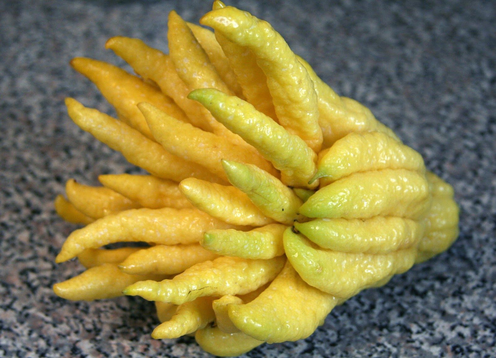 Candied Buddha's Hand Citron