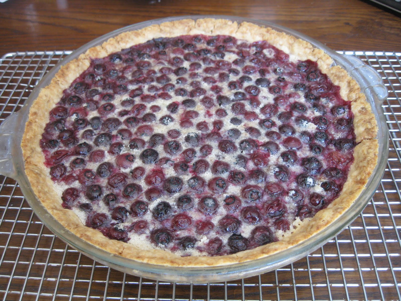 Blueberry Custard Pie