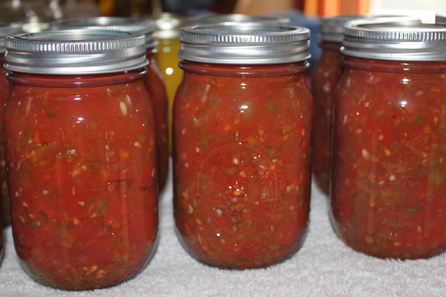 Classic Tomato Salsa