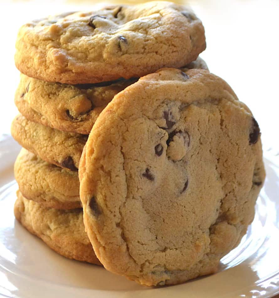 Delicious BIG Jumbo Chewy Chocolate Chip Cookie