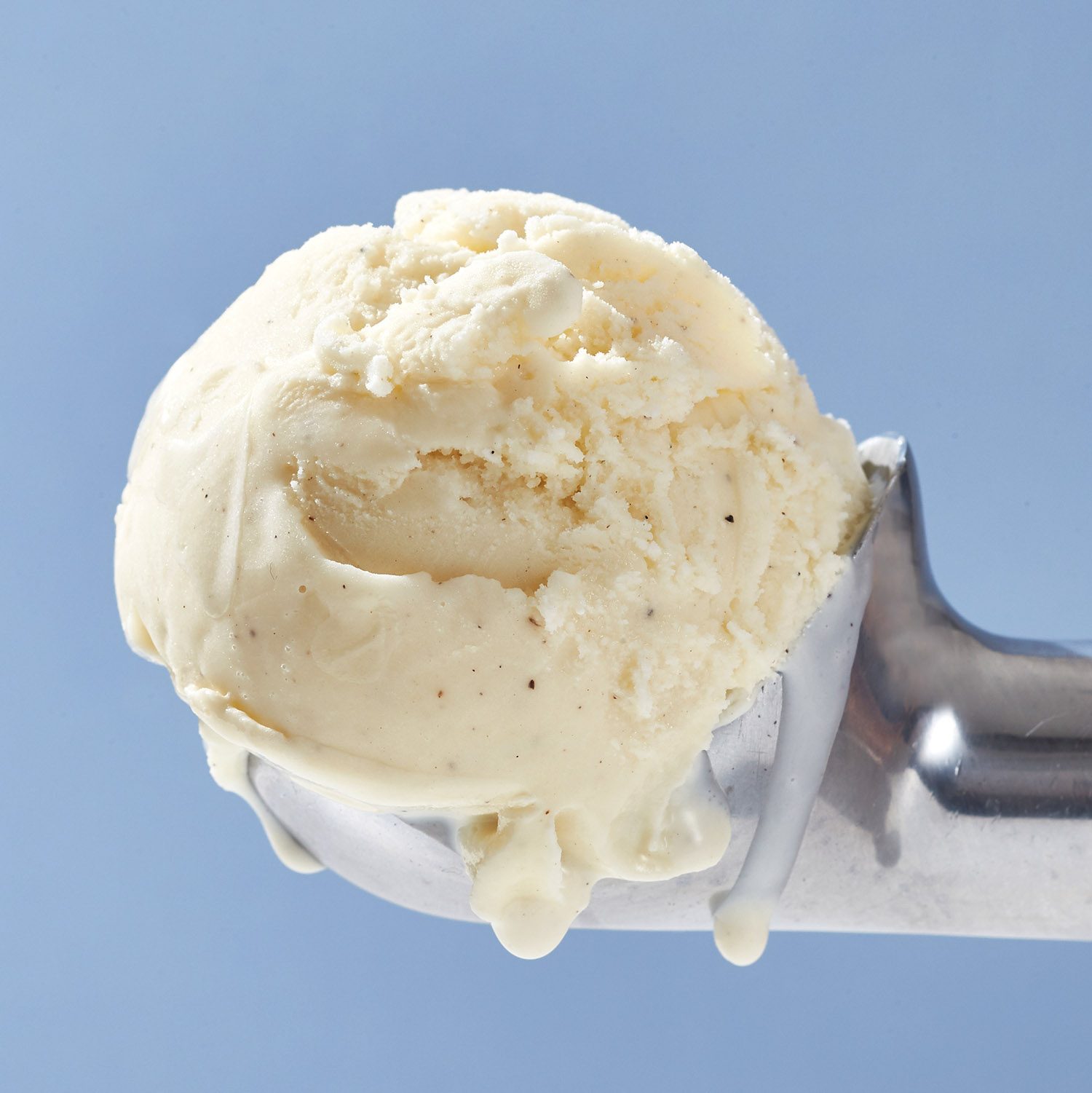 Ice Cream Scoop