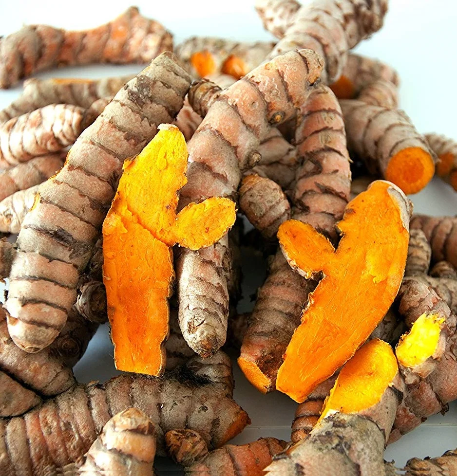Fresh Turmeric Roots