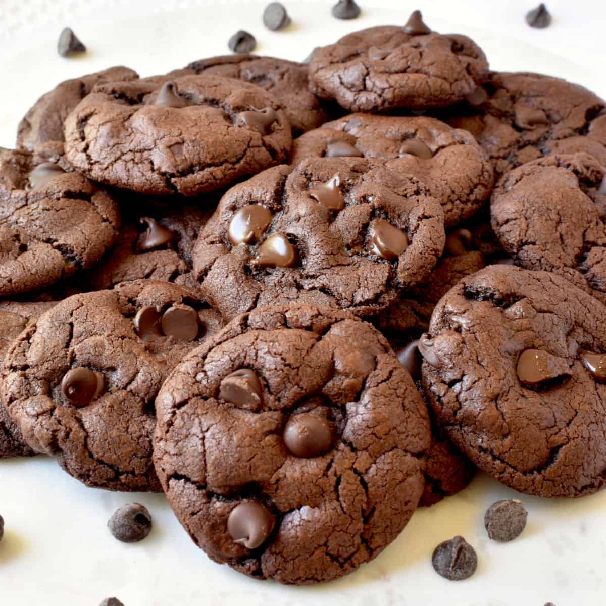 Fudgy Chocolate Cookies