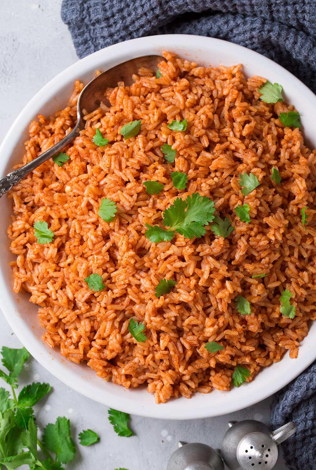 Instant Pot Mexican Rice