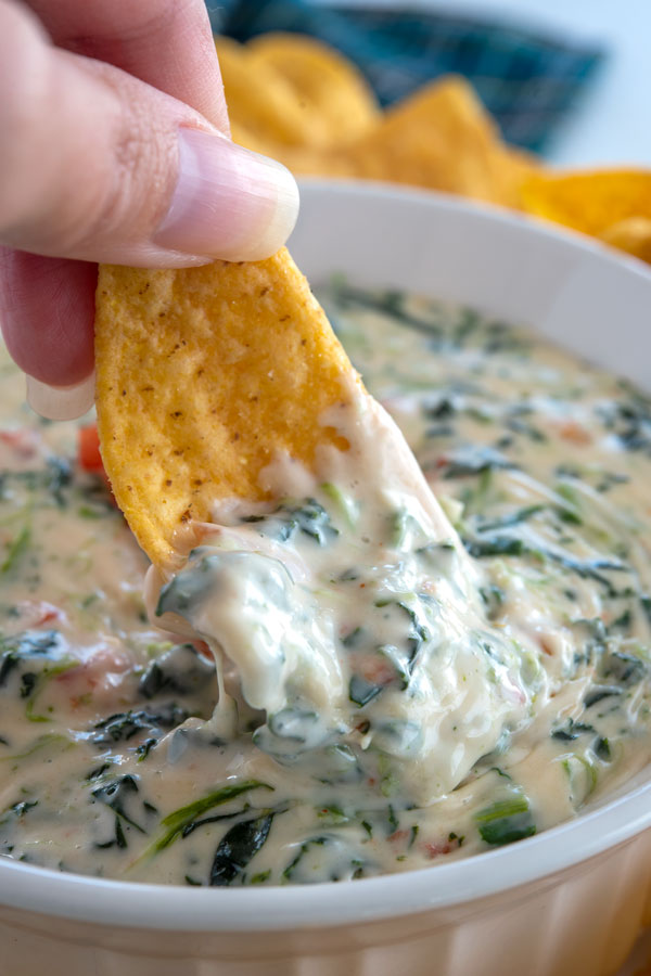 Creamy Spinach Cheese Dip