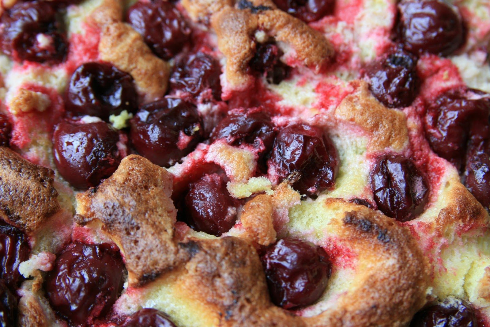 Haystacks & Champagne: Rustic Romanian Sour Cherry Cake (Pandispan)