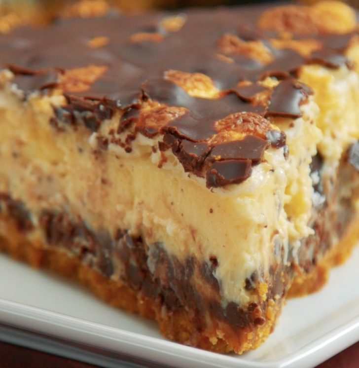 Delicious Smores Cheesecake