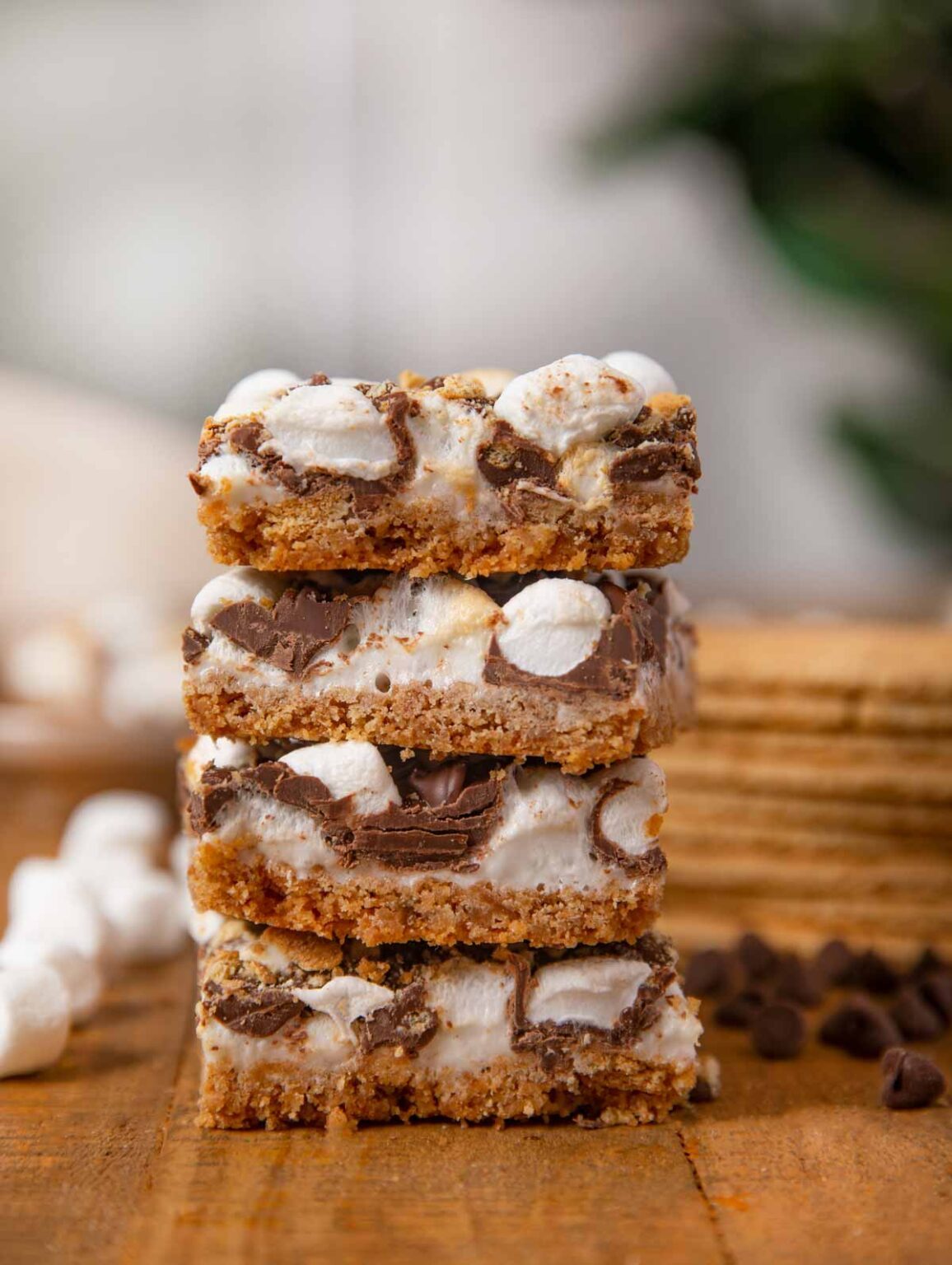 Easy S'mores Bars