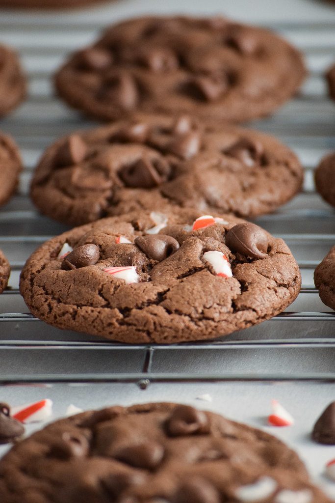 Double Chocolate Chip Peppermint Cookies