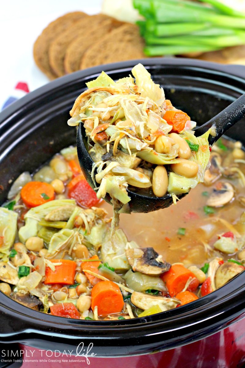 Slow Cooker Chicken Vegetable Soup