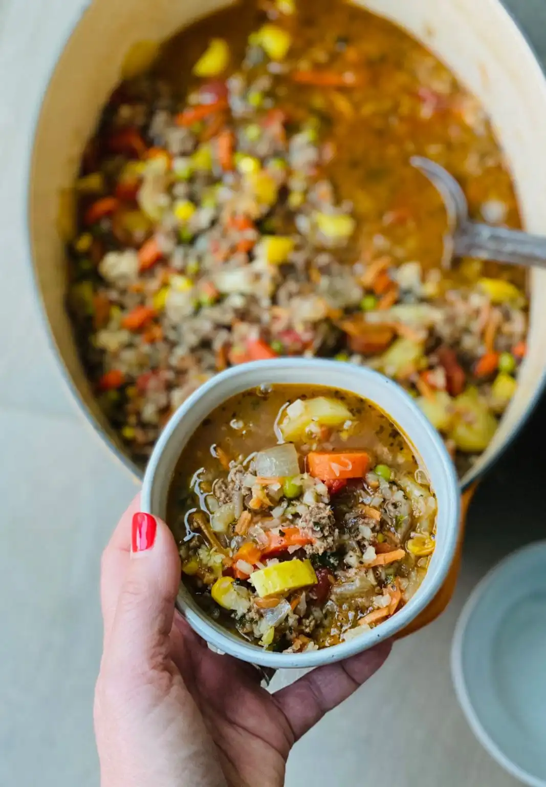 Mom's Vegetable Beef Soup