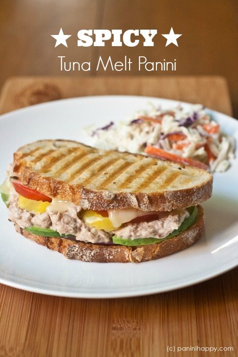 Spicy Tuna Melt Panini