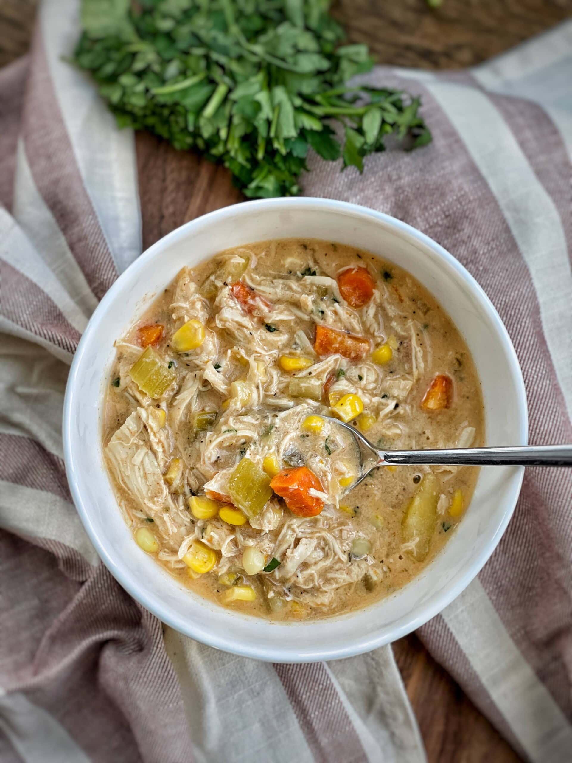 Delicious Crock Pot Chicken Soup