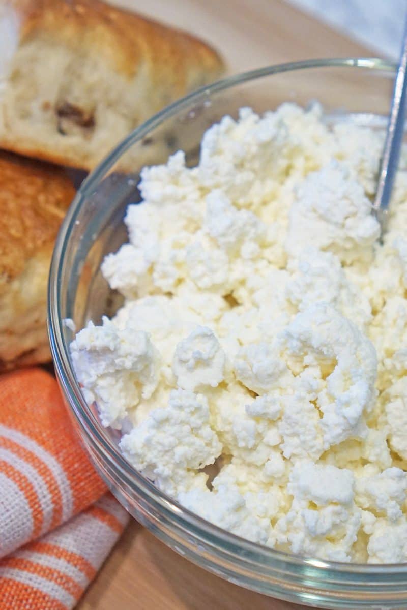 Homemade Ricotta Cheese