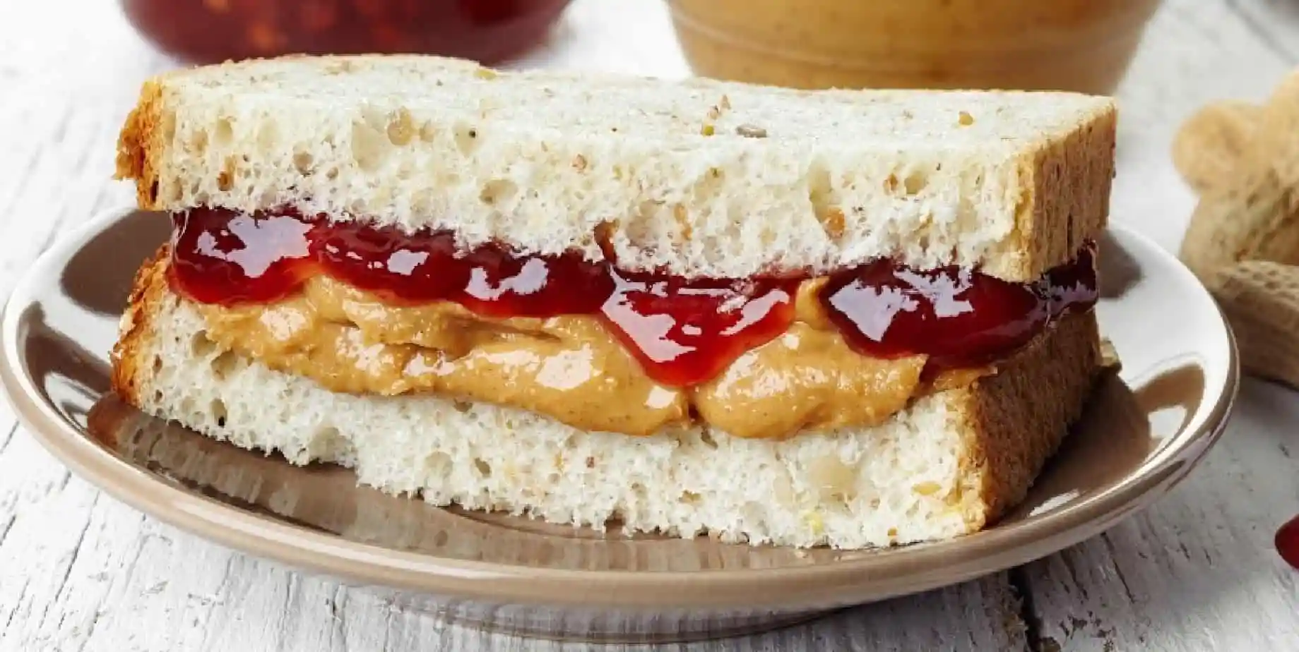 Peanut Butter and Jelly Sandwich